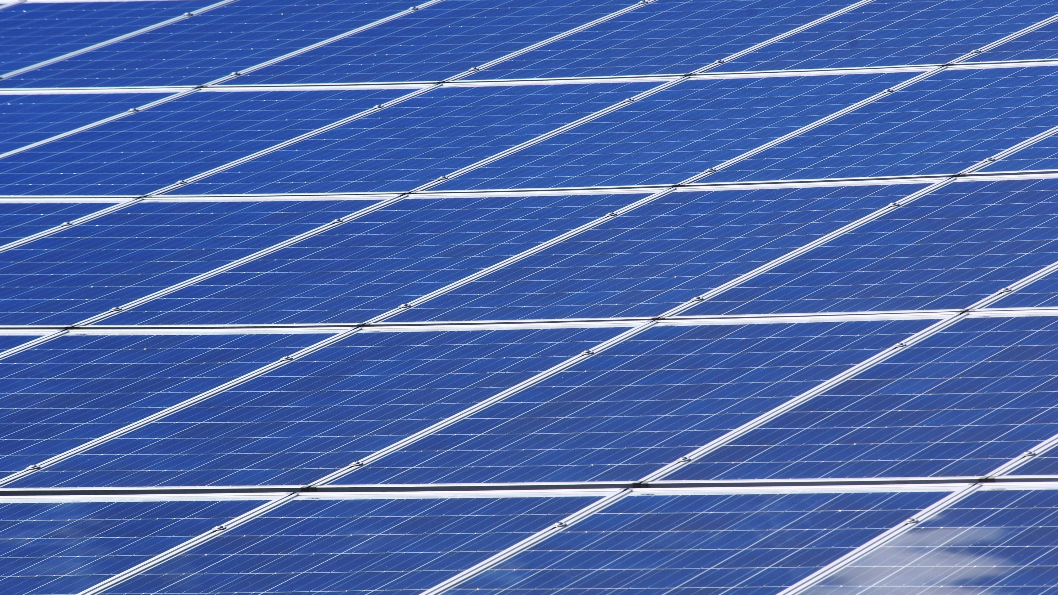 yrityksen johdon konsultointi